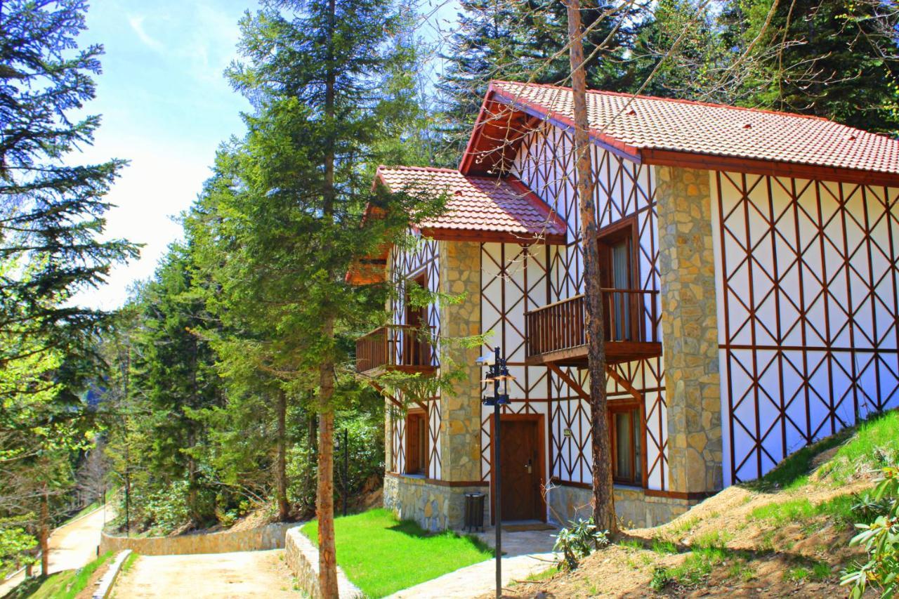 Hotel Foleya Mountain &